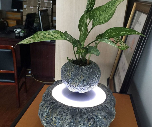 Levitating Flower Pot