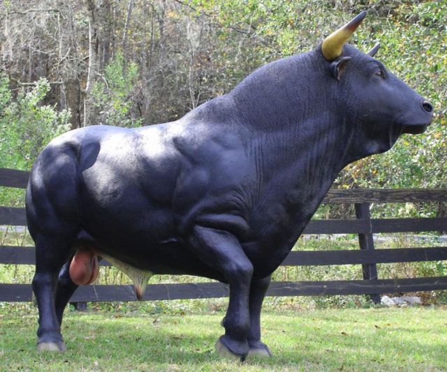 Life Size Spanish Bull Statue