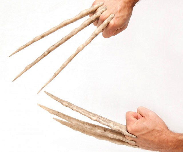 Wolverine Bone Claws
