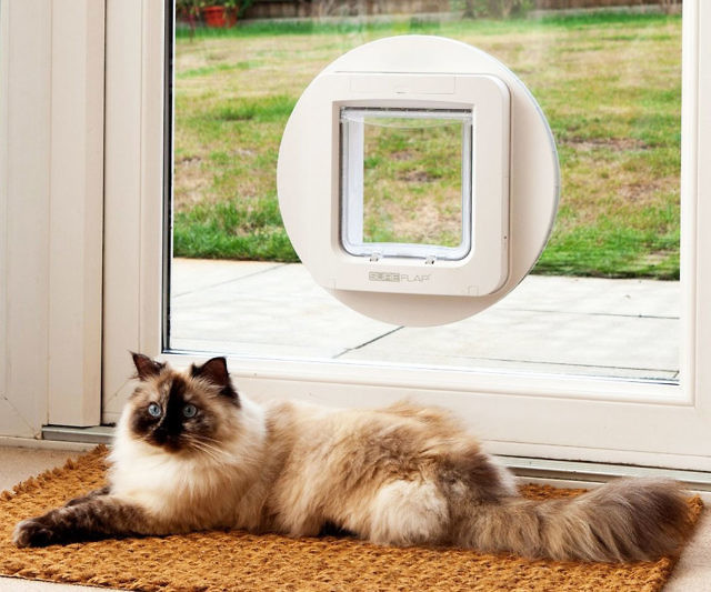 Image showcasing Microchip Pet Door