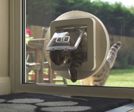 View of Microchip Pet Door