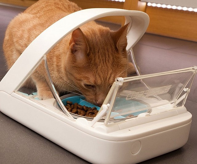 Microchip Pet Feeder