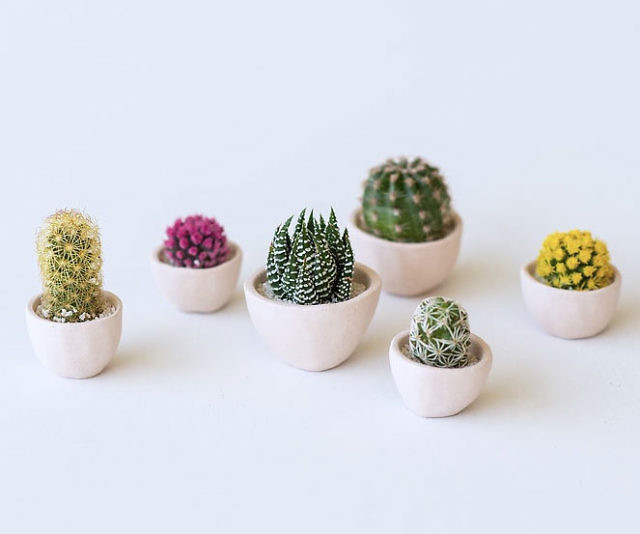 Mini Cactus Planters