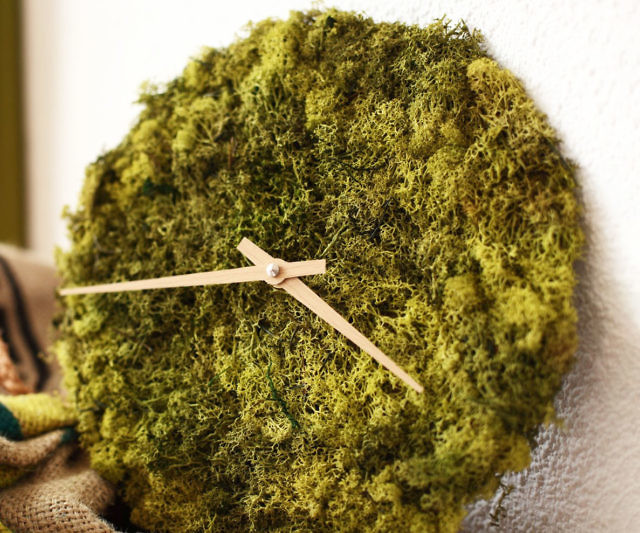 Moss Wall Clock