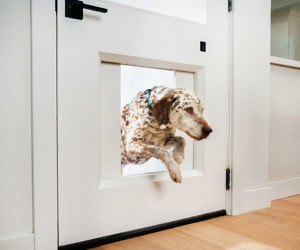 alexa controlled dog door