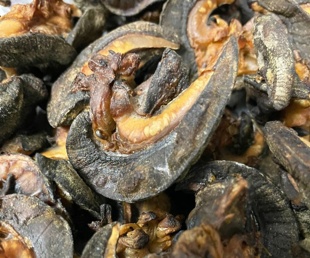 Oven Dry Washed Snails