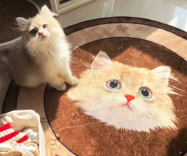 Personalized Pet Rug