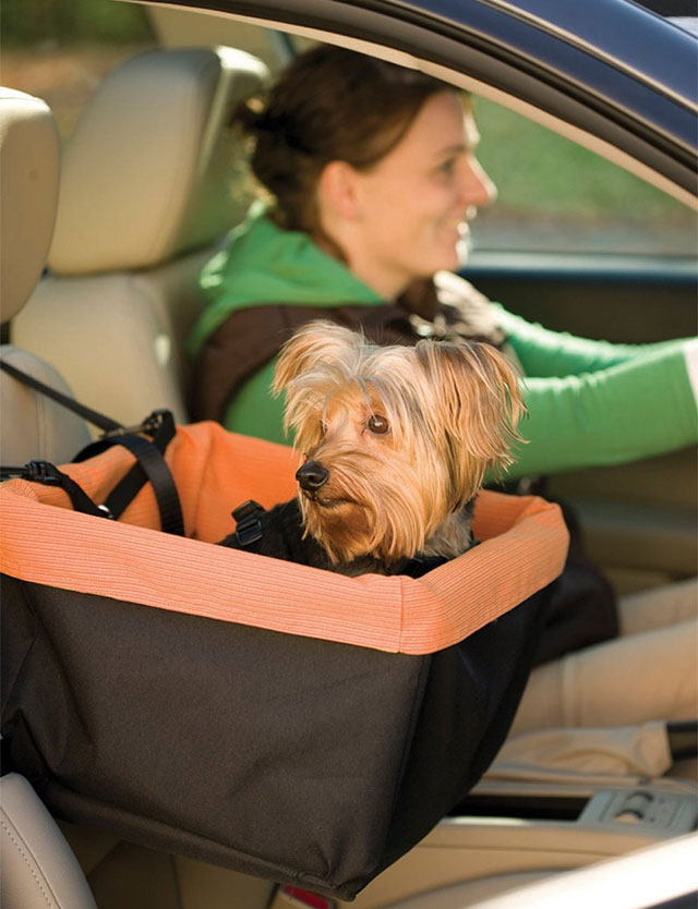 Pet Car Seat
