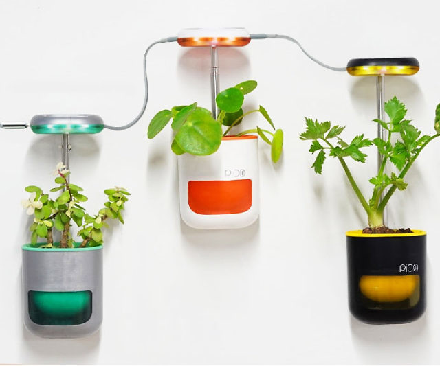 Pico Automated Plant Growing System