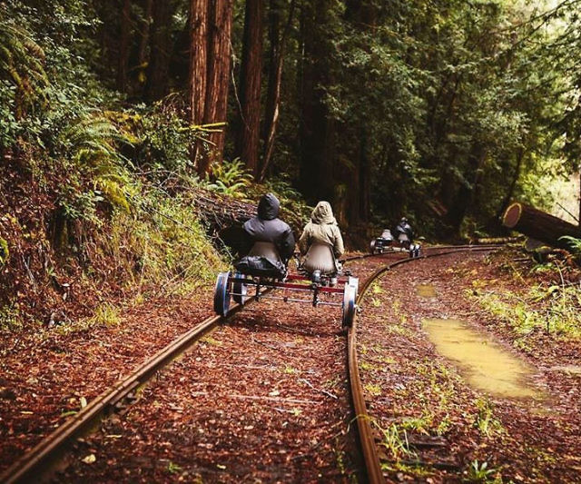 Redwood Forrest Rail Bike Tours