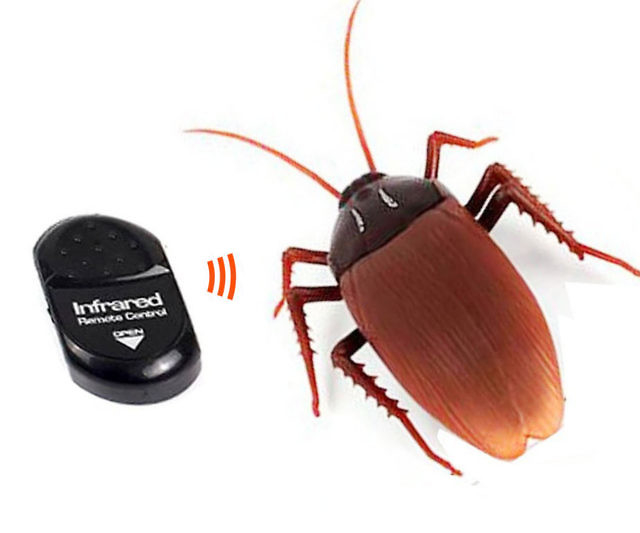 Remote Control Cockroach