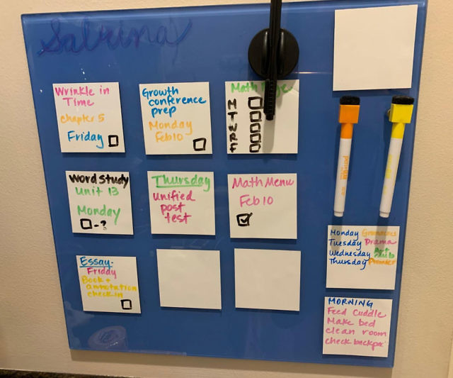 Reusable Sticky Notes