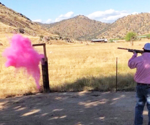 Gender Reveal Shooting Targets