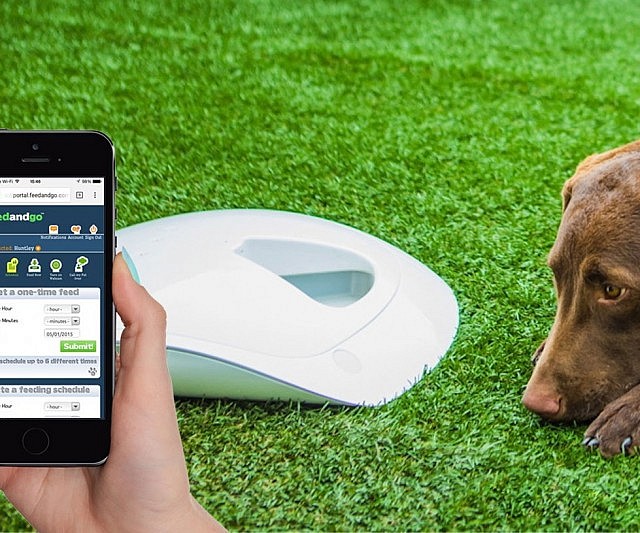 Smart Pet Feeder