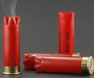 flower seeds shotgun shells