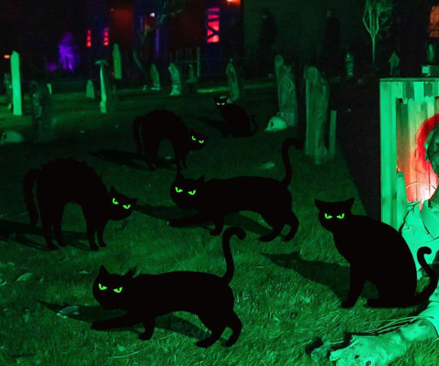 Black Cat Halloween Yard Decor