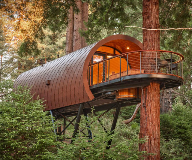 Spyglass Treehouse