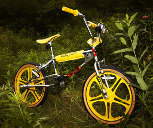 performance bike mayfield