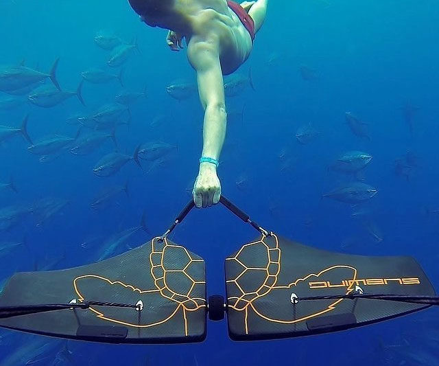 Subwing Underwater Glider