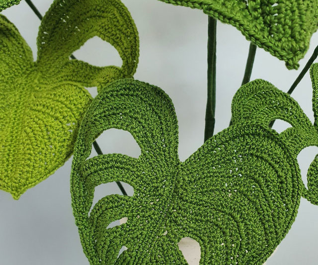 Swiss Cheese Plant Pattern