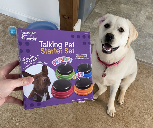 Teach Your Dog to Talk Buttons