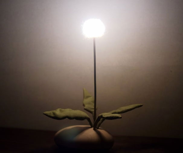 The Dandelion Interactive Night Light