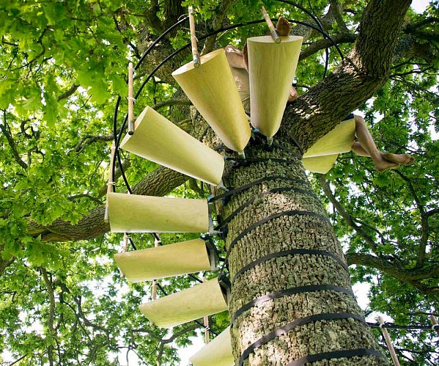 Tree Trunk Spiral Staircase