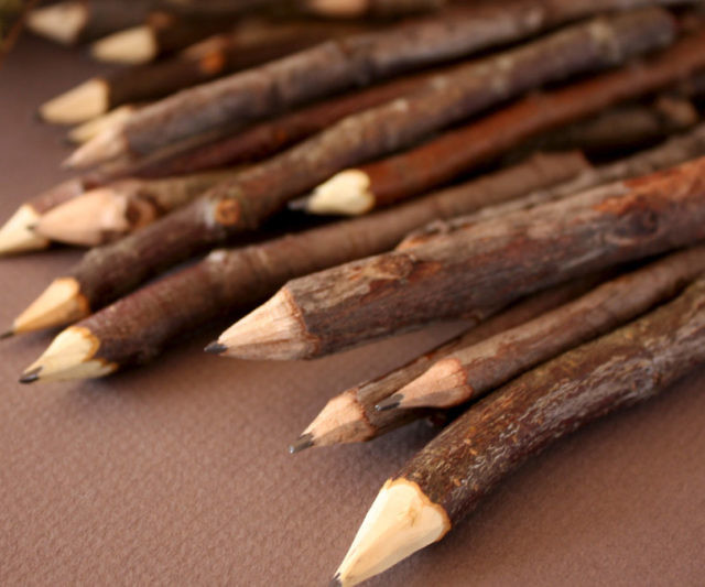 Twig Pencils