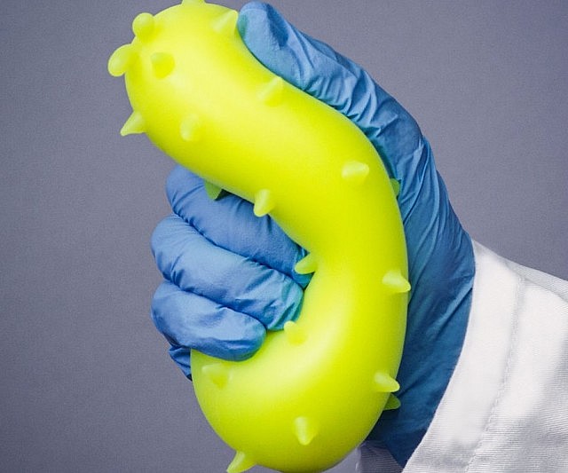 tardigrade stress ball