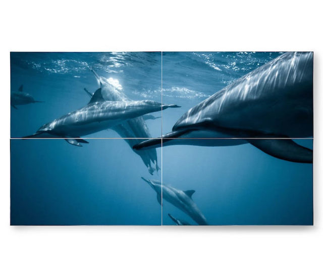 World’s First Wireless Television