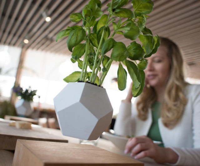 ZeroGravity Plant Growing System