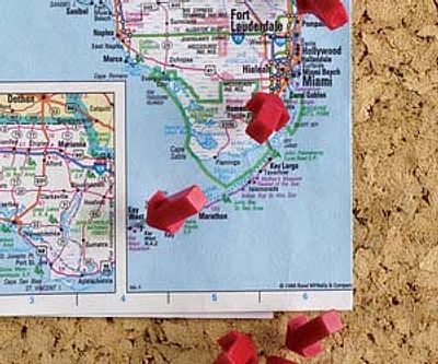 Adventure Map Push Pins