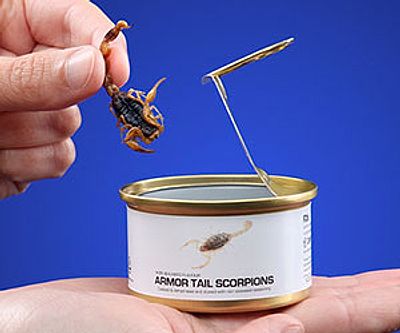 Gourmet Bug Bites