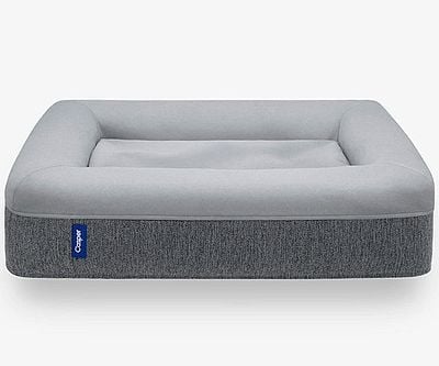 temperpedic dog bed