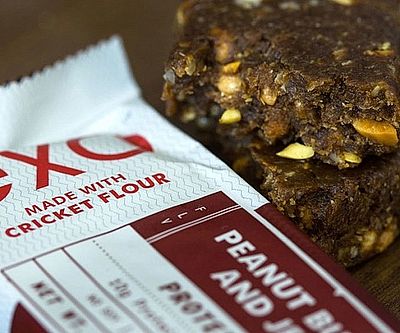 Cricket Power Protein Bars