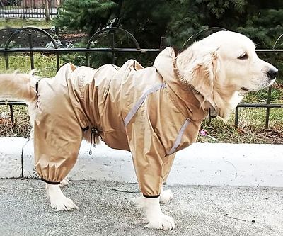 ufo dog raincoat