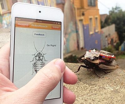 Smartphone Controlled RoboRoach