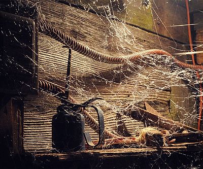 Spiderweb Spectacle Projector