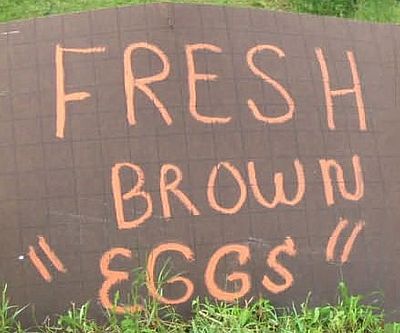 Apostrophe Antics Unleashed